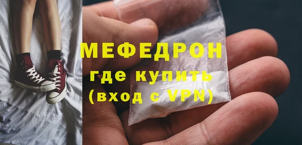 индика Новодвинск