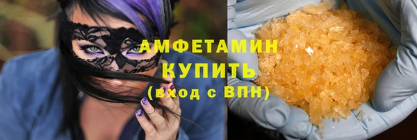 индика Новодвинск