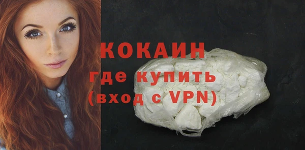 индика Новодвинск