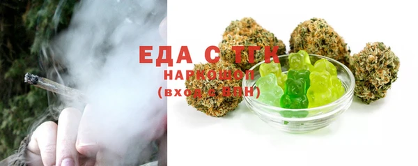 индика Новодвинск