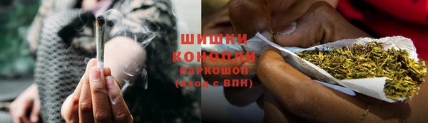 индика Новодвинск