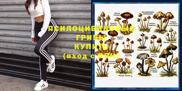 меф Новозыбков
