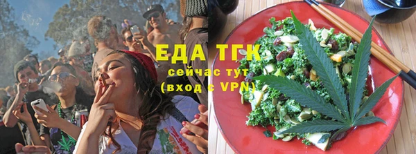 индика Новодвинск