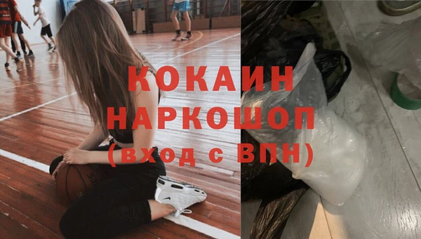 индика Новодвинск