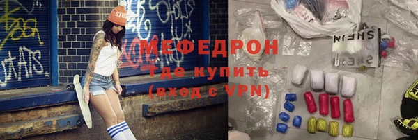 индика Новодвинск