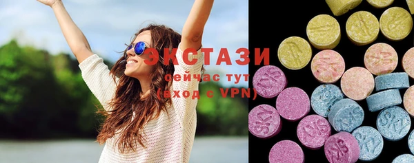 индика Новодвинск