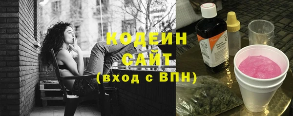 индика Новодвинск