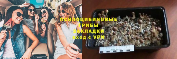 гашик Няндома
