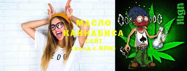 индика Новодвинск