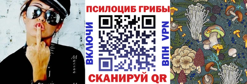 магазин продажи   дарк нет телеграм  Галлюциногенные грибы прущие грибы  Куса 